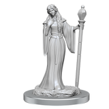 Critical Role Unpainted Miniatures Human Wizard Female & Halfling Holy Warrior Female