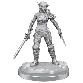 D&D Nolzurs Marvelous Miniatures Elf Rogue & Half-Elf Rogue Protege