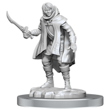 D&D Nolzurs Marvelous Miniatures Elf Rogue & Half-Elf Rogue Protege