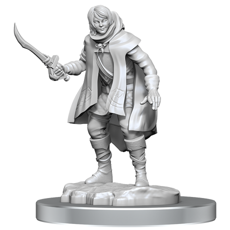 D&D Nolzurs Marvelous Miniatures Elf Rogue & Half-Elf Rogue Protege