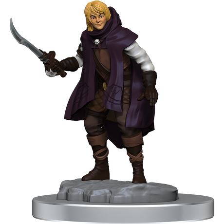 D&D Nolzurs Marvelous Miniatures Elf Rogue & Half-Elf Rogue Protege