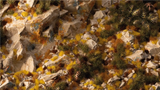 Gamers Grass - Golden Autumn Glade Basing Box