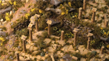 Gamers Grass - Mediterranean Temple Basing Box