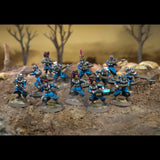 Death Fields - Les Grognards