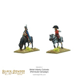 Black Powder - Napoleonic Wars: Mounted British Infantry Colonels (Peninsular Campaign)
