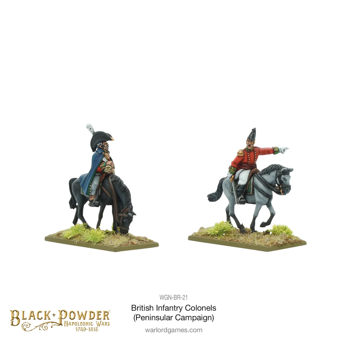 Black Powder - Napoleonic Wars: Mounted British Infantry Colonels (Peninsular Campaign)