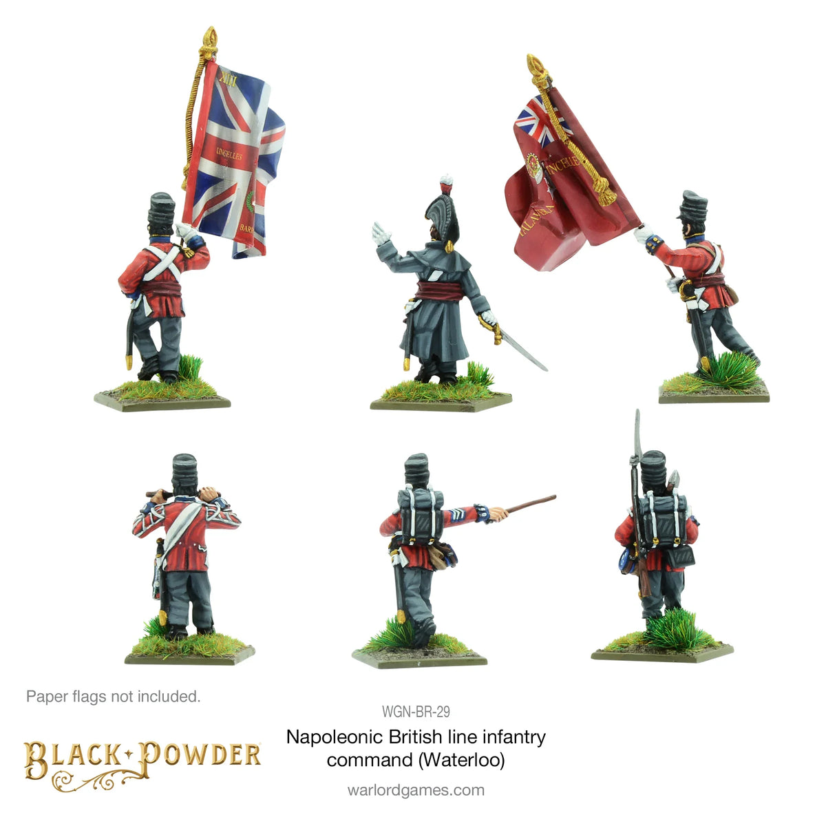 Black Powder - Napoleonic Wars: British Line Infantry Command (Waterloo)