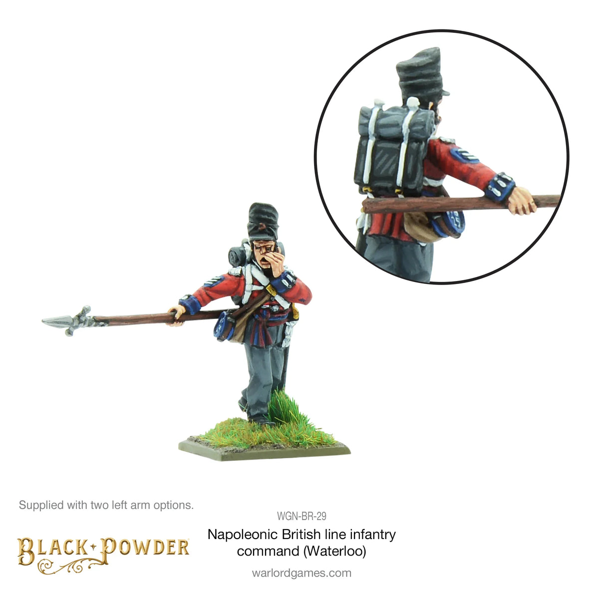 Black Powder - Napoleonic Wars: British Line Infantry Command (Waterloo)