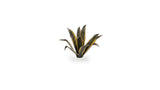 Gamers Grass - Laser Plants Agave