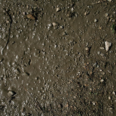 AK Interactive - Dioramas - Terrains Wet Ground 250ml