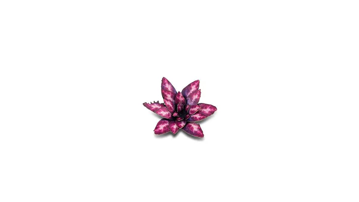 Gamers Grass - Laser Plants Alien Rosette