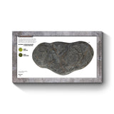Battlefield in a Box - Large Rocky Hill