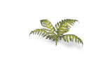 Gamers Grass - Laser Plants Bracken
