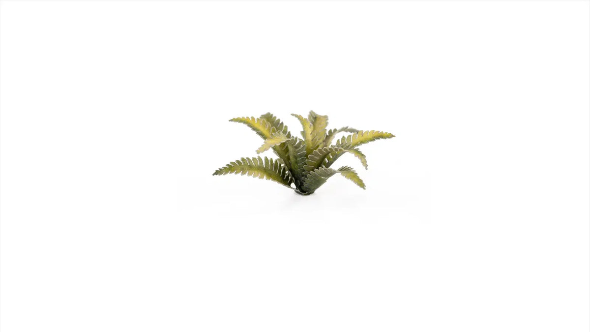 Gamers Grass - Laser Plants Deer Fern