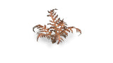 Gamers Grass - Laser Plants Dry Bracken