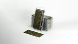 Gamers Grass - Laser Plants Dumb Cane