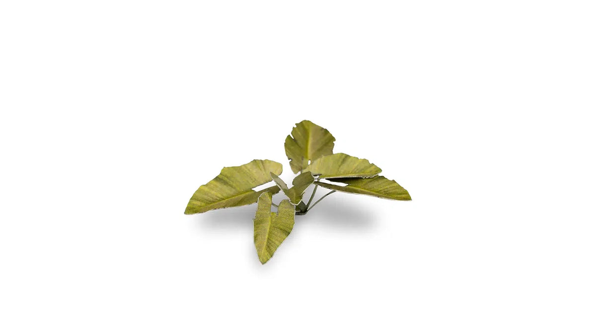Gamers Grass - Laser Plants Elephant Ear