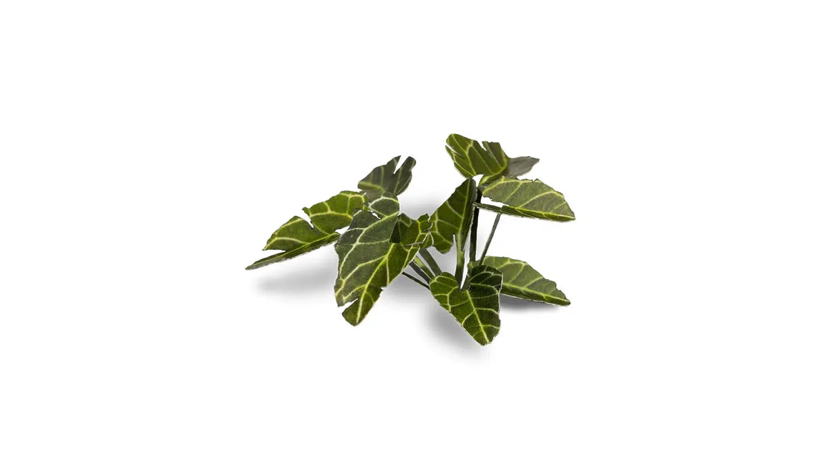 Gamers Grass - Laser Plants Elephant Ear