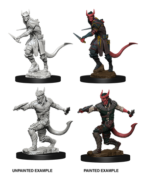 D&D Nolzurs Marvelous Unpainted Miniatures Tiefling Male Rogue