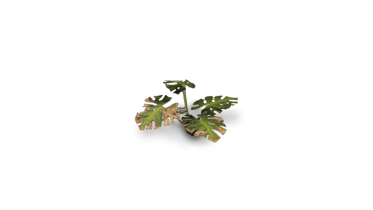 Gamers Grass - Laser Plants Monstera