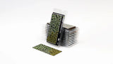 Gamers Grass - Laser Plants Plantain Lily