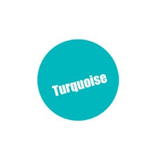 Monument Pro Acryl - Turquoise 22ml